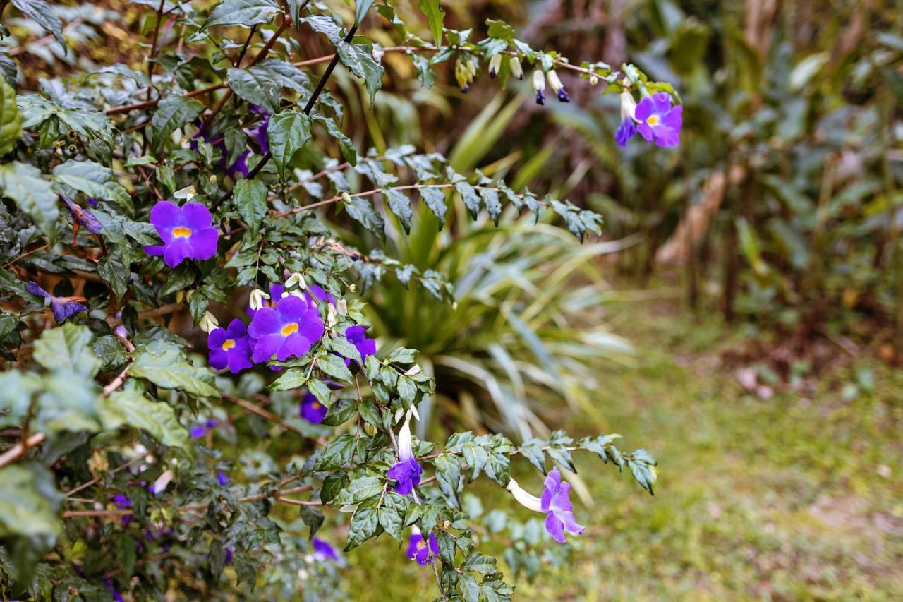 Chales Sol Araquari Exterior foto